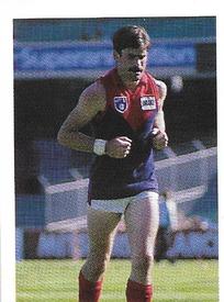 1991 Select AFL Stickers #161 Sean Wight Front